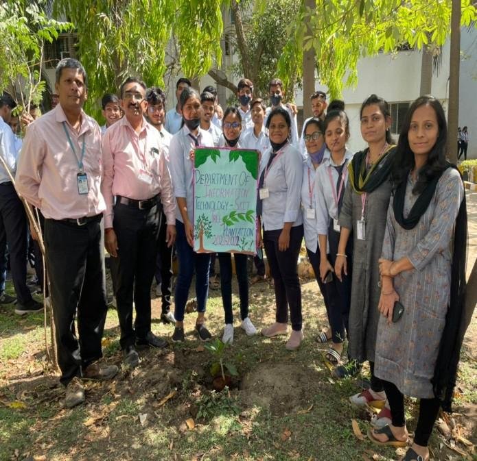Tree Plantation