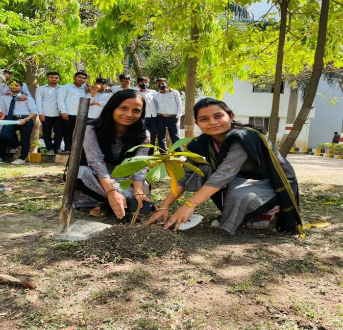 Tree Plantation