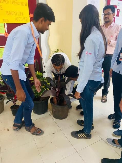 Tree Plantation Activity