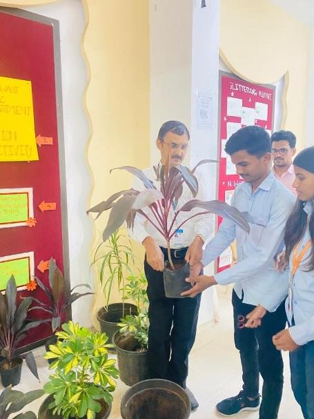 Tree Plantation Activity