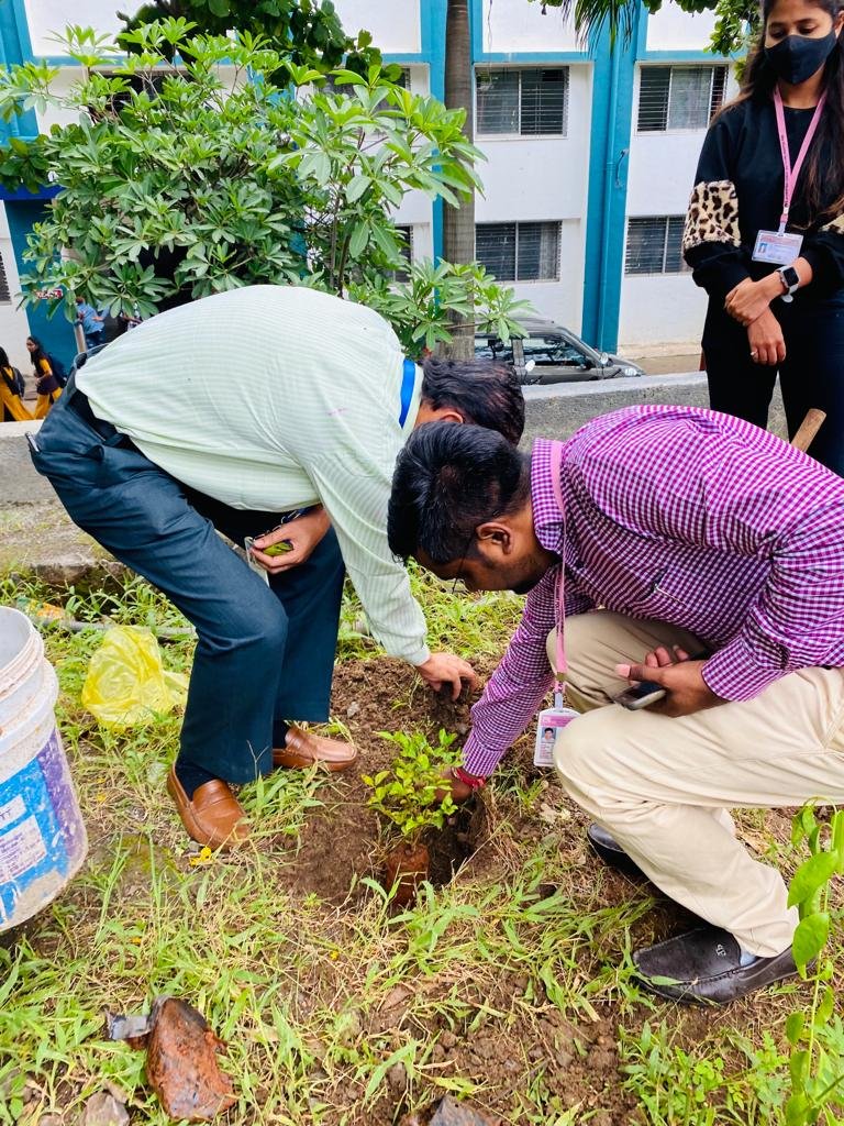 Tree Plantation