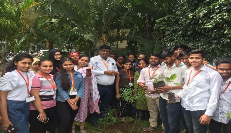 Tree Plantation Activity