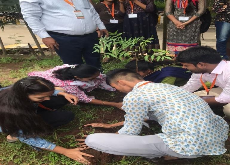 Tree Plantation Activity