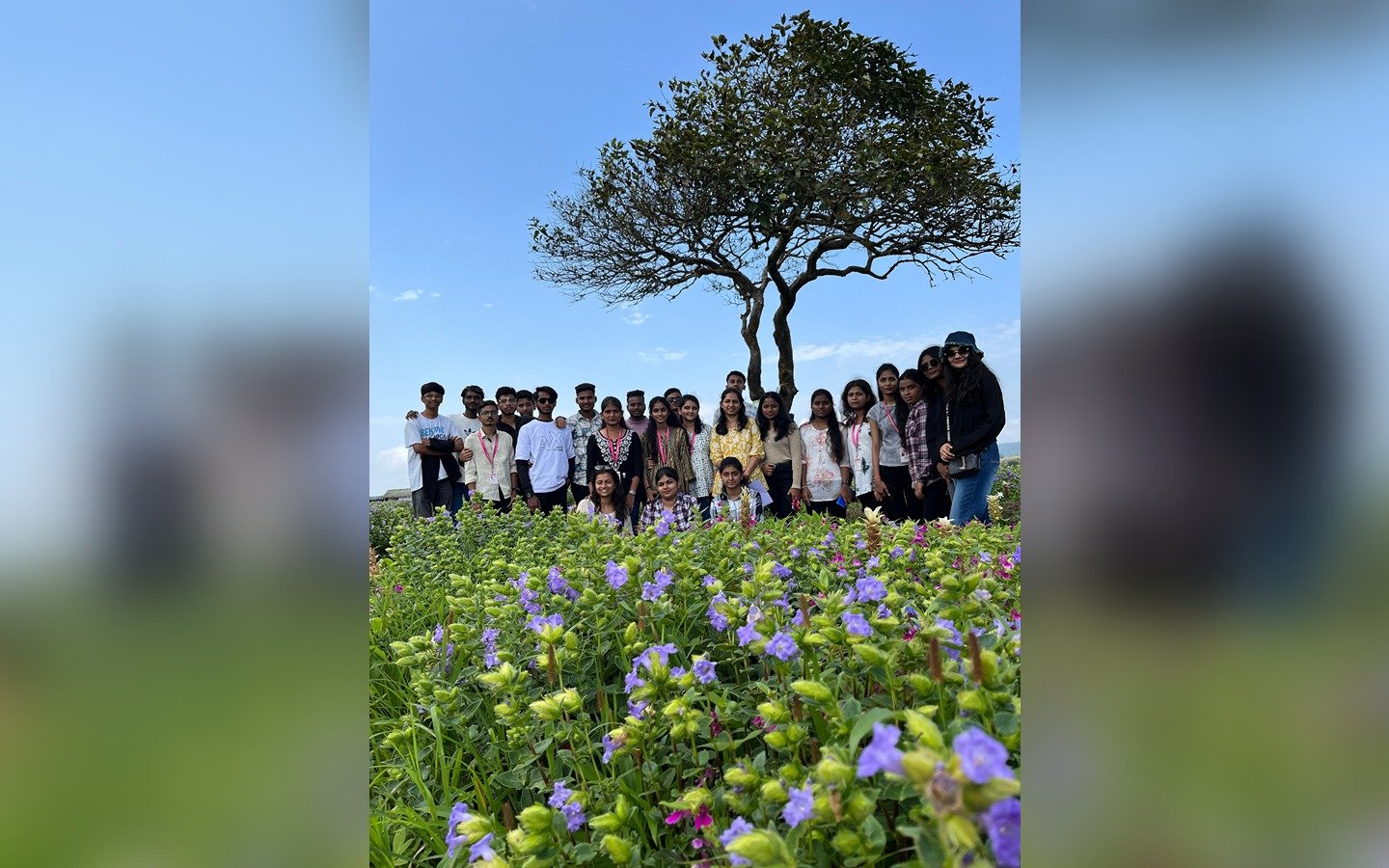 TY - Industrial Visit