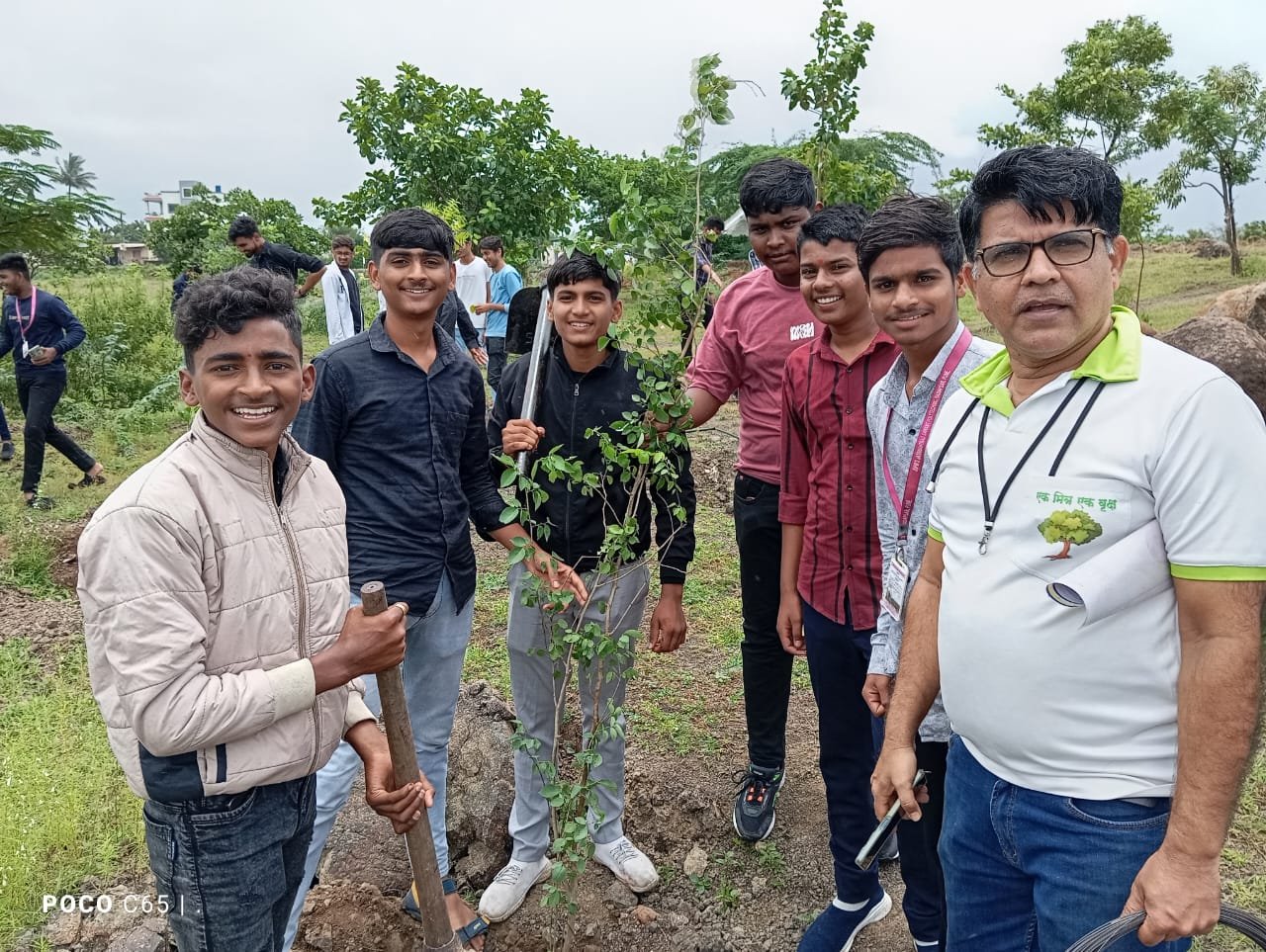 Tree Plantation